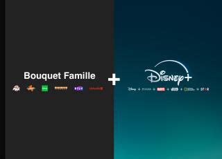 Pack Bouquet Famille & Disney+ standard 